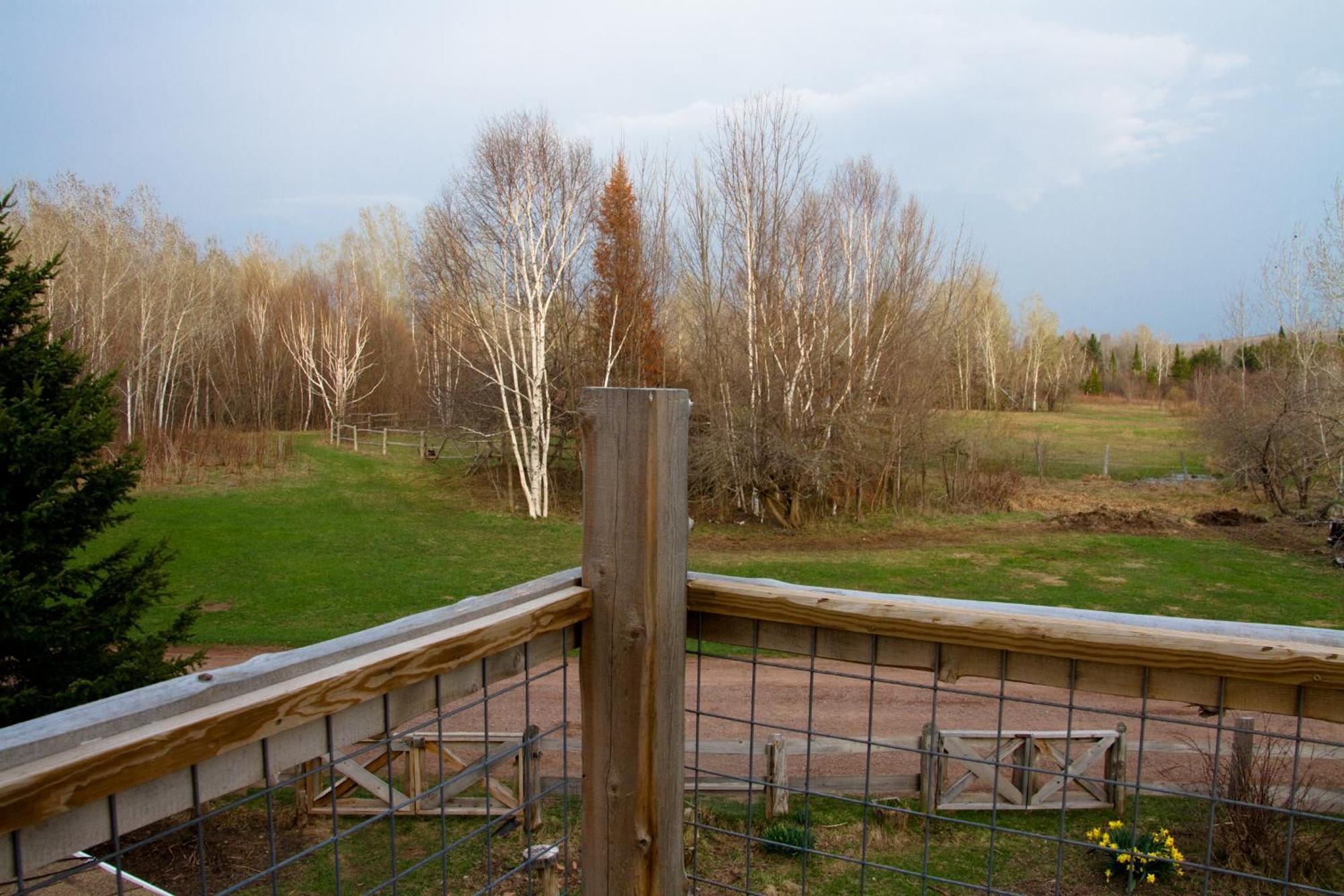 Apartamento White Horse Stable Bayfield Exterior foto
